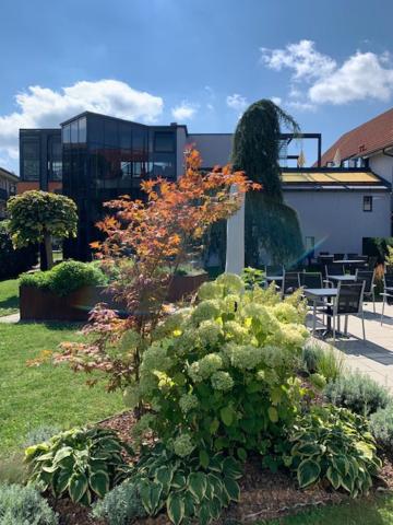 Zahrada ubytování Hotel Garni Colora