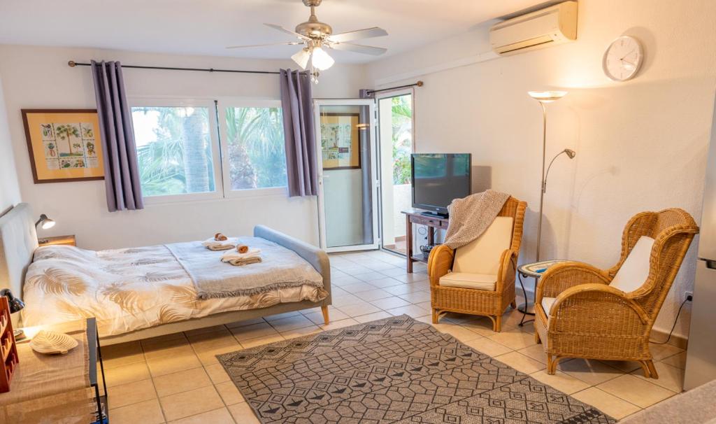 Guesthouse Villa Altea - Studio