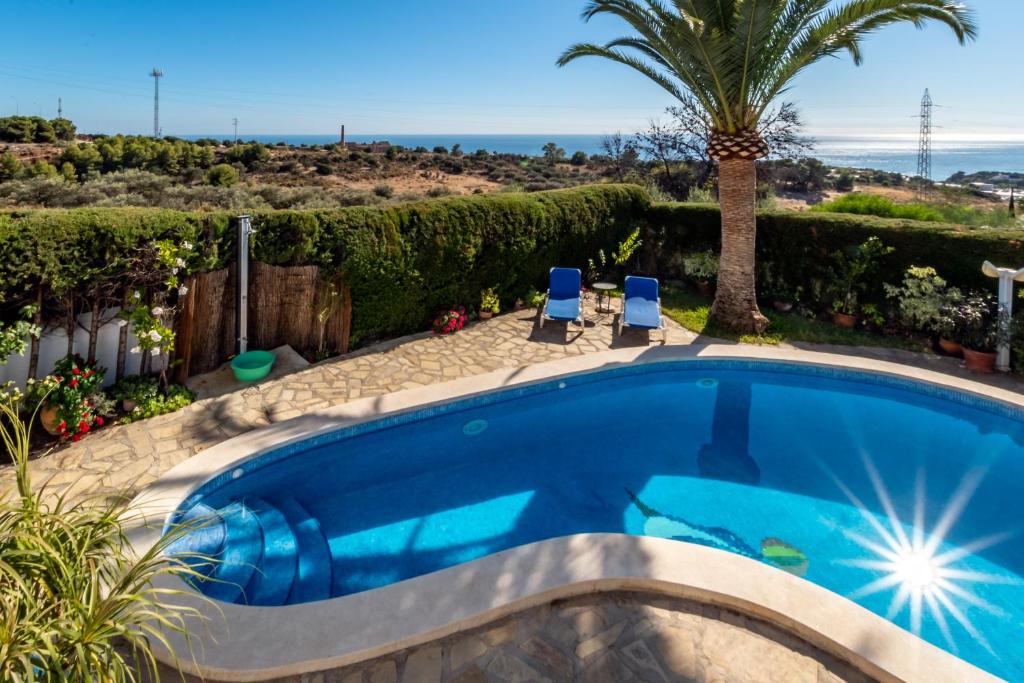 een zwembad met een palmboom en twee blauwe stoelen bij Los Olivos, Nerja in Nerja