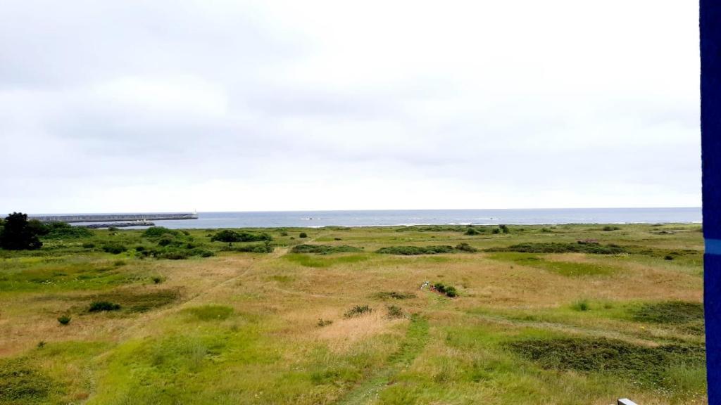 um campo de relva com o oceano ao fundo em Apartamento en San Juan de L'arena em San Juan de la Arena