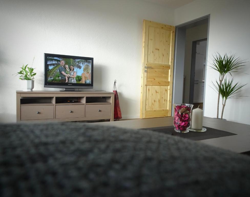 TV a/nebo společenská místnost v ubytování Don Quijote Ferienwohnung