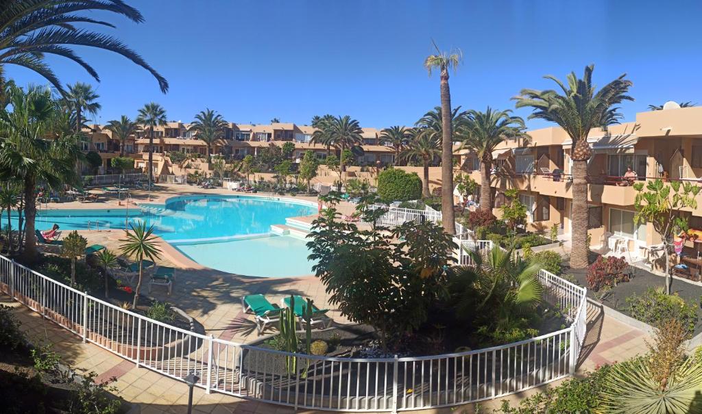 widok na basen z palmami i budynkami w obiekcie CasaNikolai w Corralejo