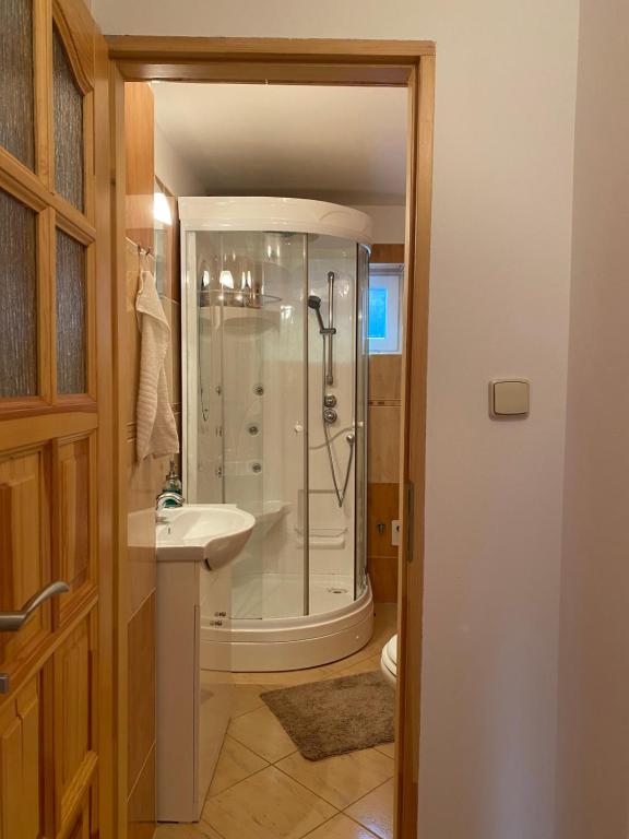 a bathroom with a shower and a sink at Apartmán pod lesem in Svoboda nad Úpou