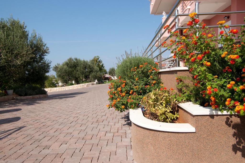 Zahrada ubytování Apartments Marinić
