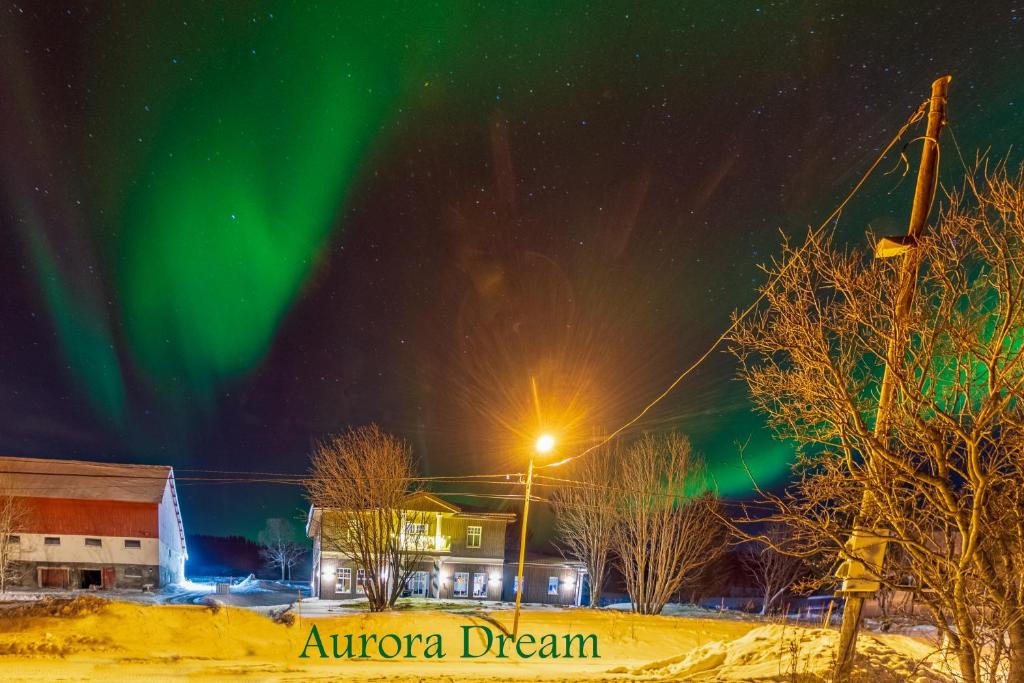 Aurora Dream, Svensby – Updated 2024 Prices