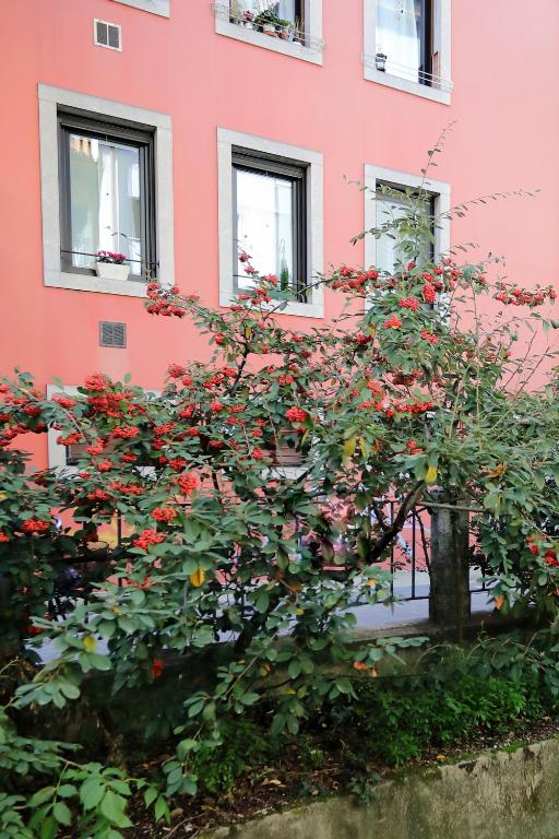 Residenza Cristoforo - Apartment Mit 1 Schlafzimmer