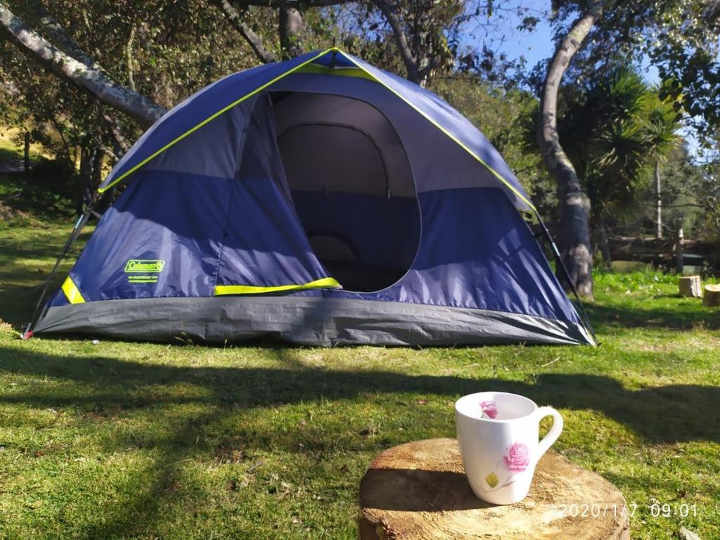 a blue tent with a cup on a log with a tea pot at Camping Los Balcones in Cuítiva