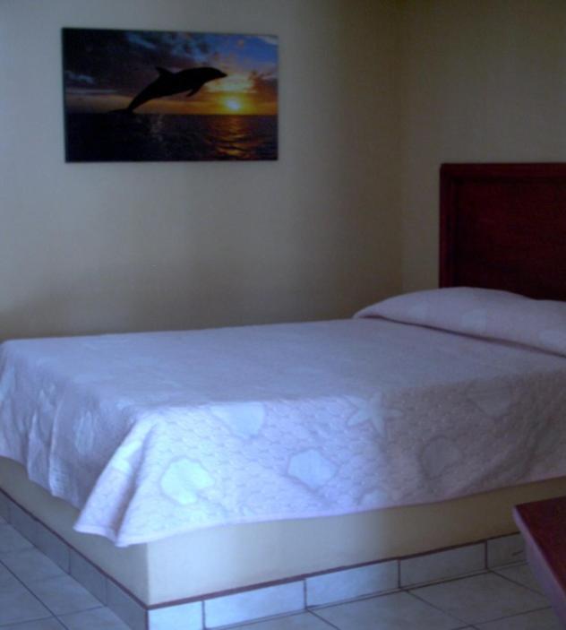 Fotografie z fotogalerie ubytování Hotel Duve Coral v destinaci Loreto