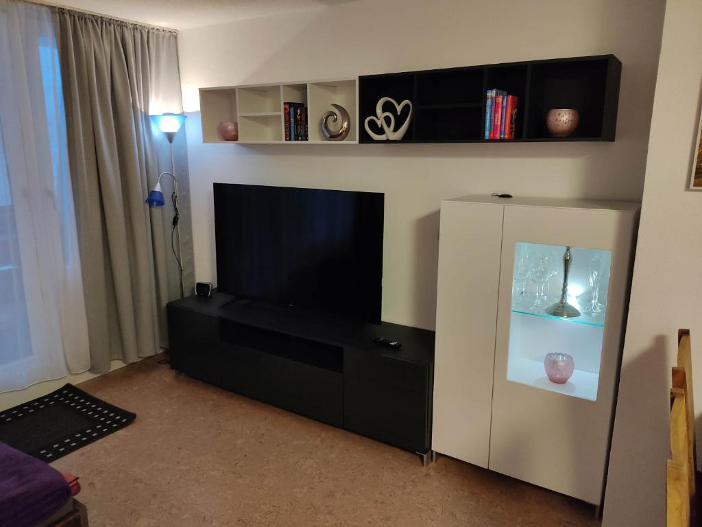 TV a/nebo společenská místnost v ubytování Ferienapartment "Alois" in Sankt Englmar