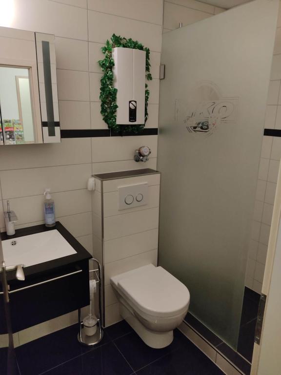 Koupelna v ubytování Ferienapartment "Alois" in Sankt Englmar