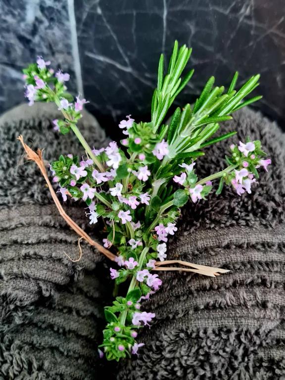 Okauia House, Matamata - Resim 39