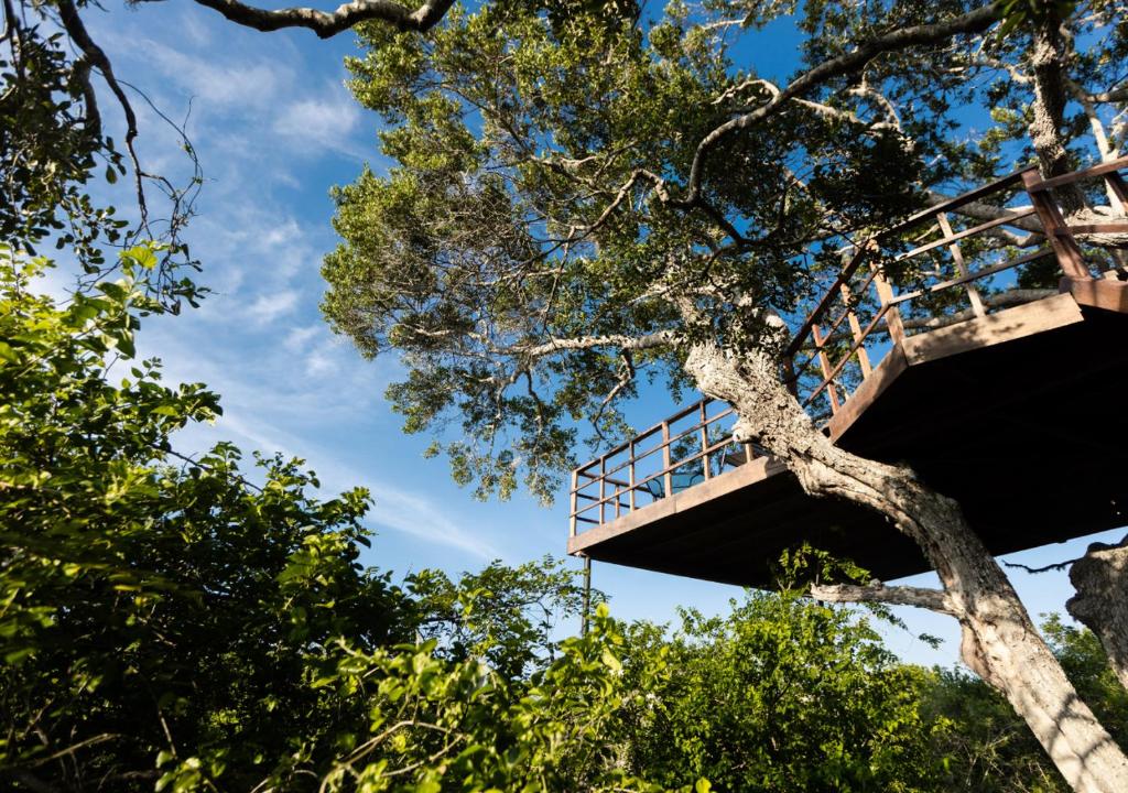 Fotografie z fotogalerie ubytování Tribe Yala - Luxury Camping v destinaci Yala