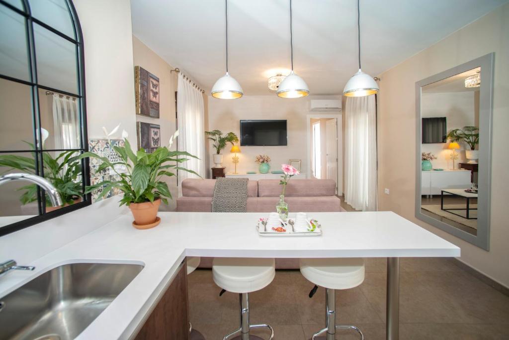 El patio de Regina - 14