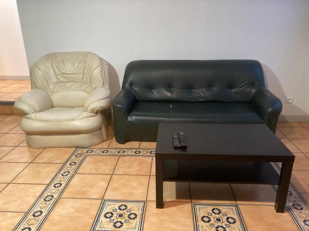 a leather couch and a chair in a living room at Appartement &quot;Jardins&quot; in Pesmes