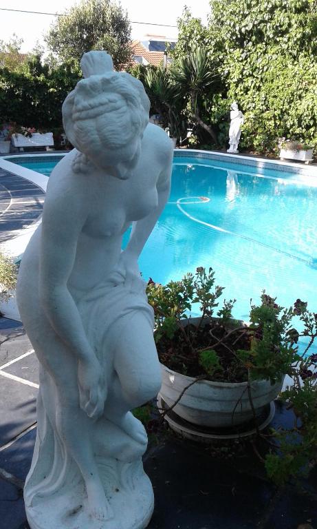 Bazén v ubytování Canberra on Greenwood nebo v jeho okolí