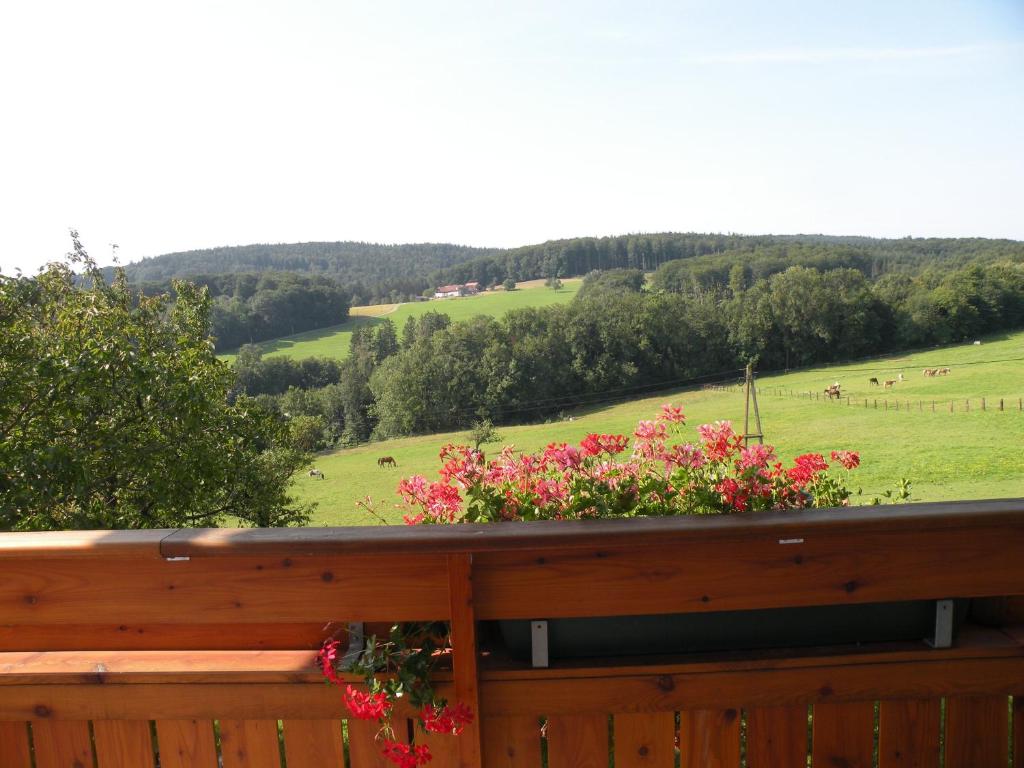 Příroda nedaleko apartmánu