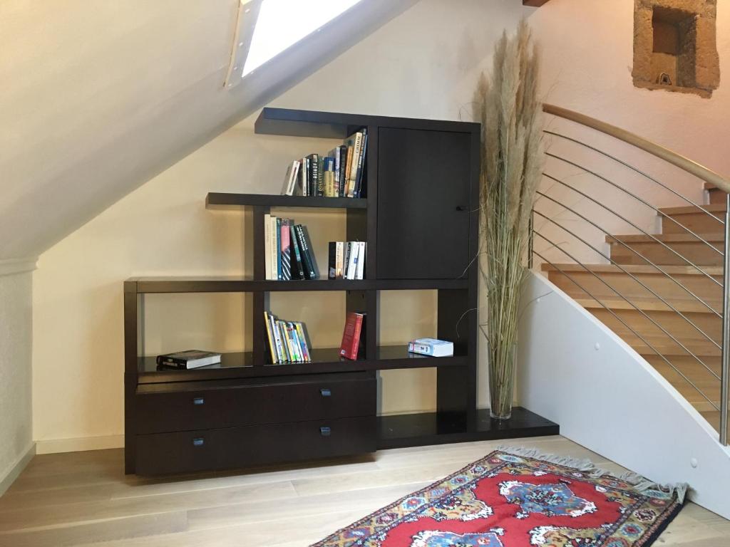 Knihovna v apartmánu
