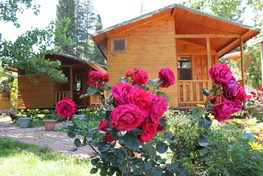 Zahrada ubytování Duran Bungalow