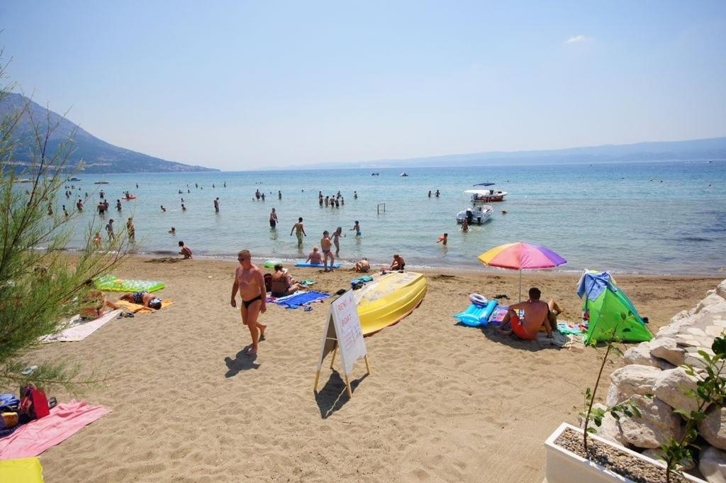 Príroda v okolí apartmánu