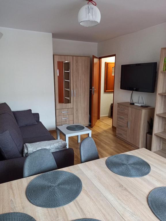 a living room with a couch and a tv at Apartamenty Jola in Szklarska Poręba