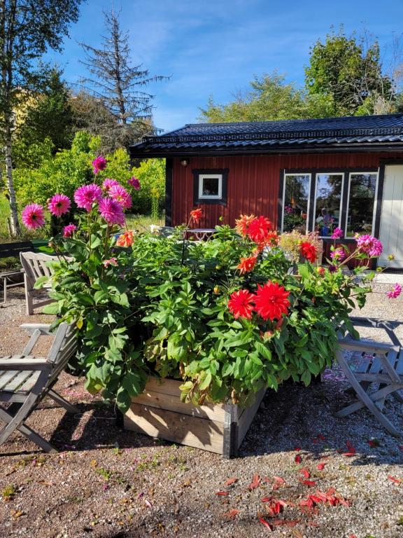 a garden with flowers in front of a cabin at StugaFalun in Falun