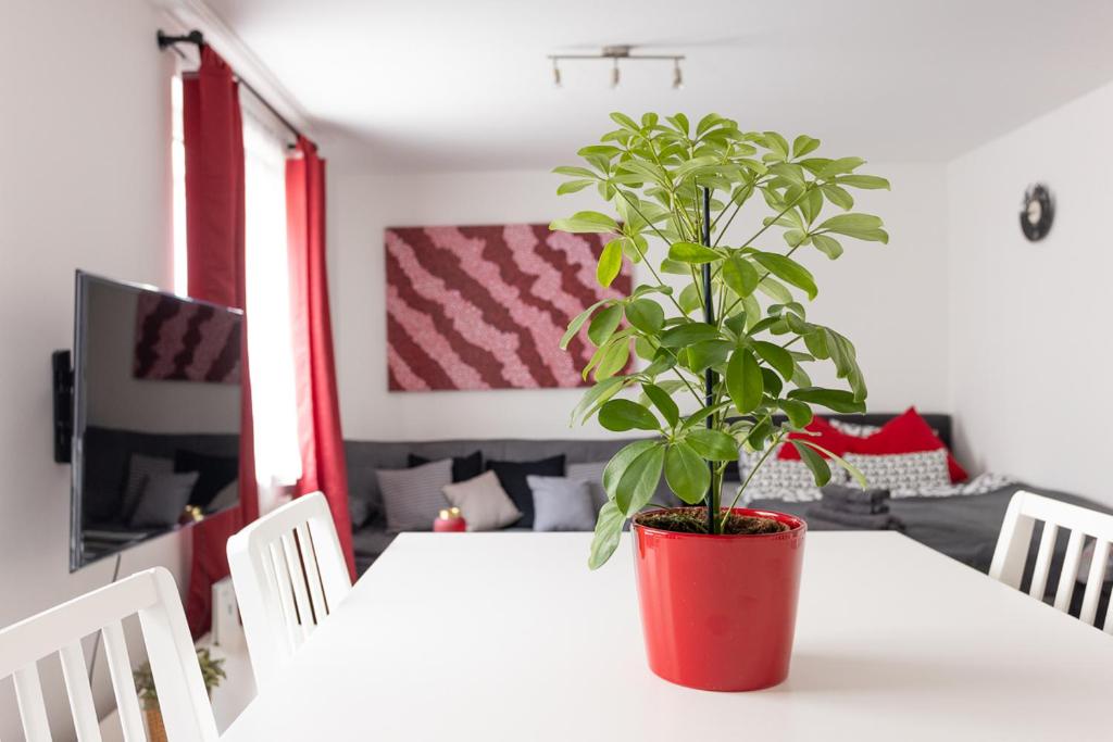 NEW ShalalaLiving Vienna - Lovenest or Workspace near Schönbrunn BG - One-Bedroom Apartment