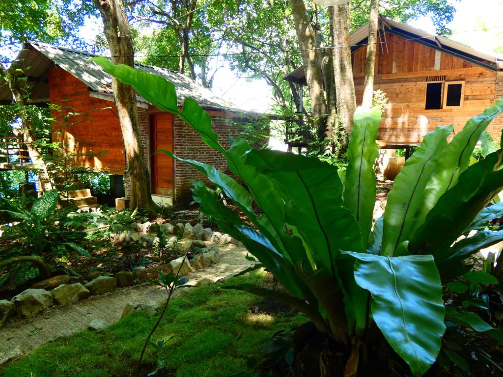 - un jardin en face d'une cabane en rondins dans l'établissement Santi Garden Bungalows, à Iboih