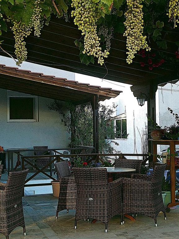 Zahrada ubytování Ipanema Hotel