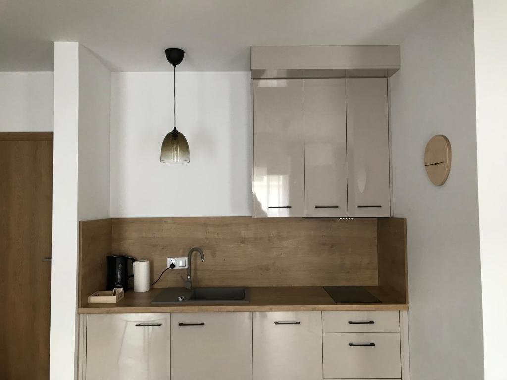Kuchyňa alebo kuchynka v ubytovaní Apartamenty Julia APARTAMENTY OZONOWANE
