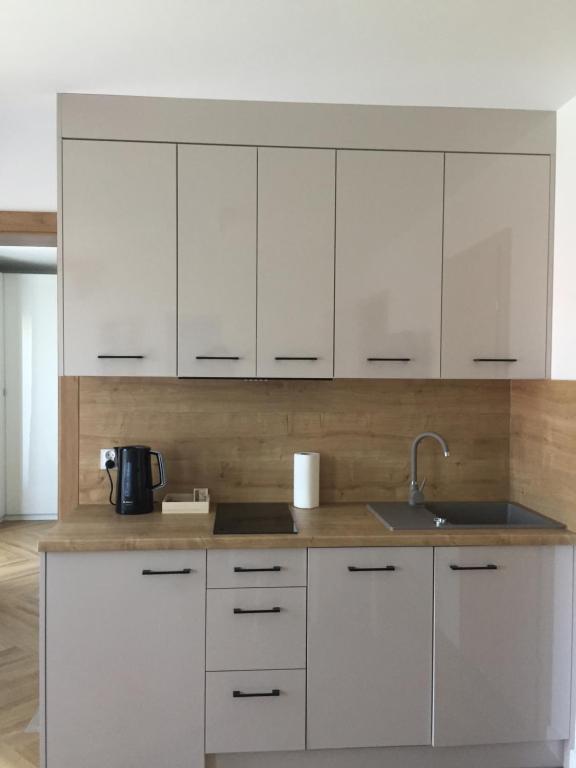 Kuchyňa alebo kuchynka v ubytovaní Apartamenty Julia APARTAMENTY OZONOWANE