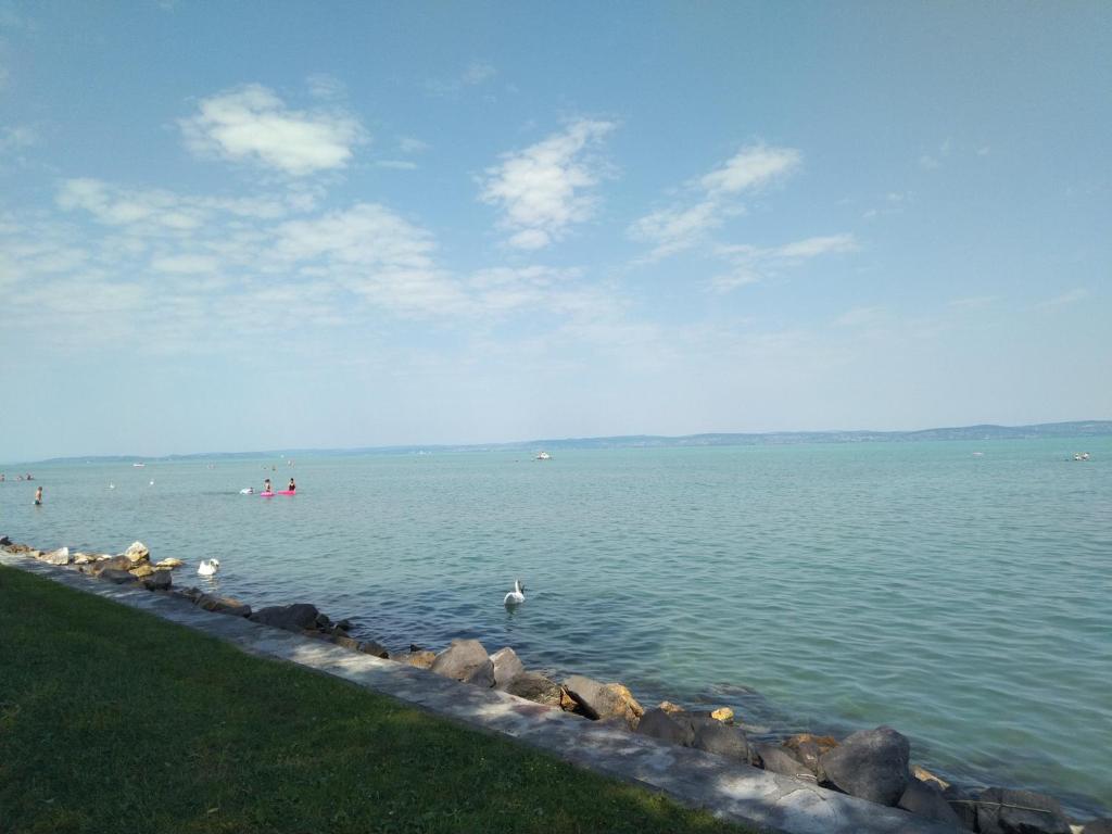 Príroda v okolí apartmánu