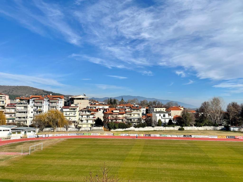 Eternal Suites Edessa - 7