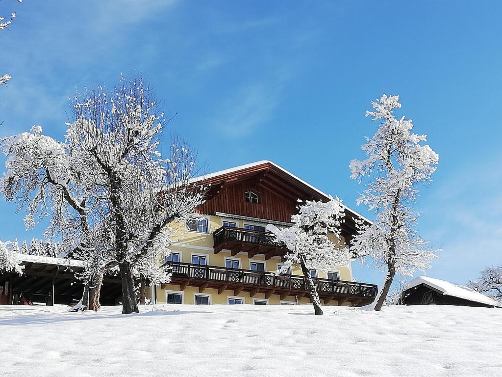 due alberi nella neve davanti a un edificio di Bio-Bauernhof Einberghof a Pfarrwerfen