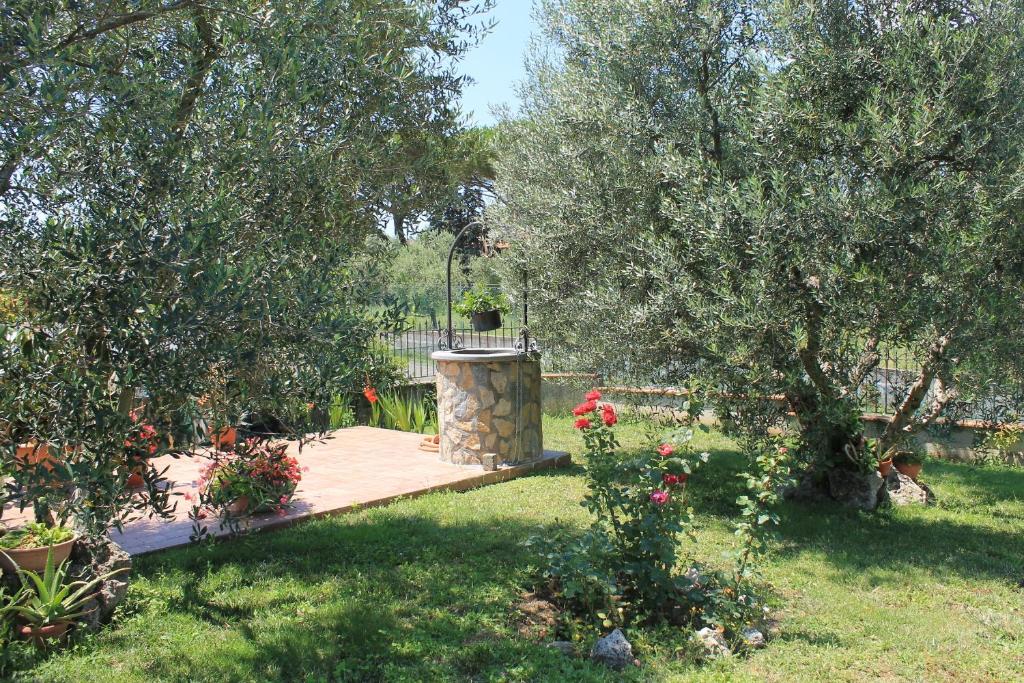 Zahrada ubytování B&B L'amicizia