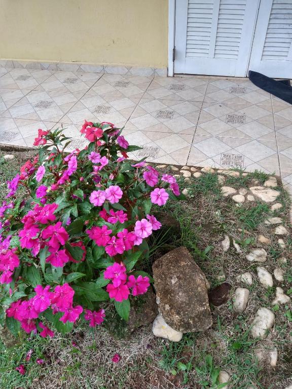 Pousada Pitoresca Casa Amarela - Holiday Home