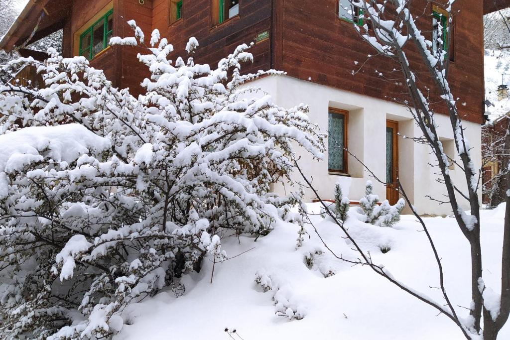 a snow covered tree in front of a house at Le Clos du Vas - Puy Saint André in Puy-Saint-André