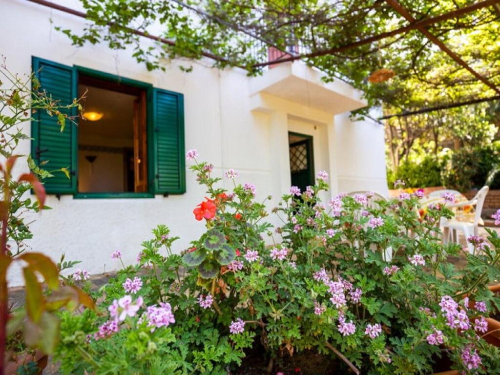 una casa con una ventana verde y algunas flores en Gorgeous Villa in Ricadi with Shared Garden, en Ricadi