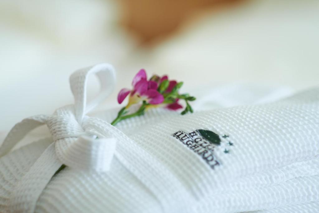 Hotel Klughardt - Resim 19