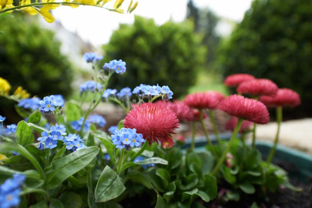 Hotel Klughardt - Resim 18