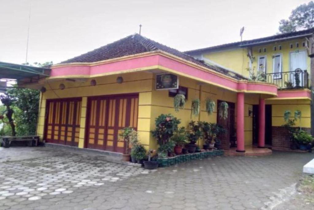 a yellow and pink house with plants in front of it at Toto Homestay in Magelang
