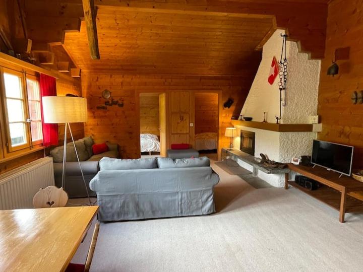TV a/nebo společenská místnost v ubytování Chalet Singlinaz