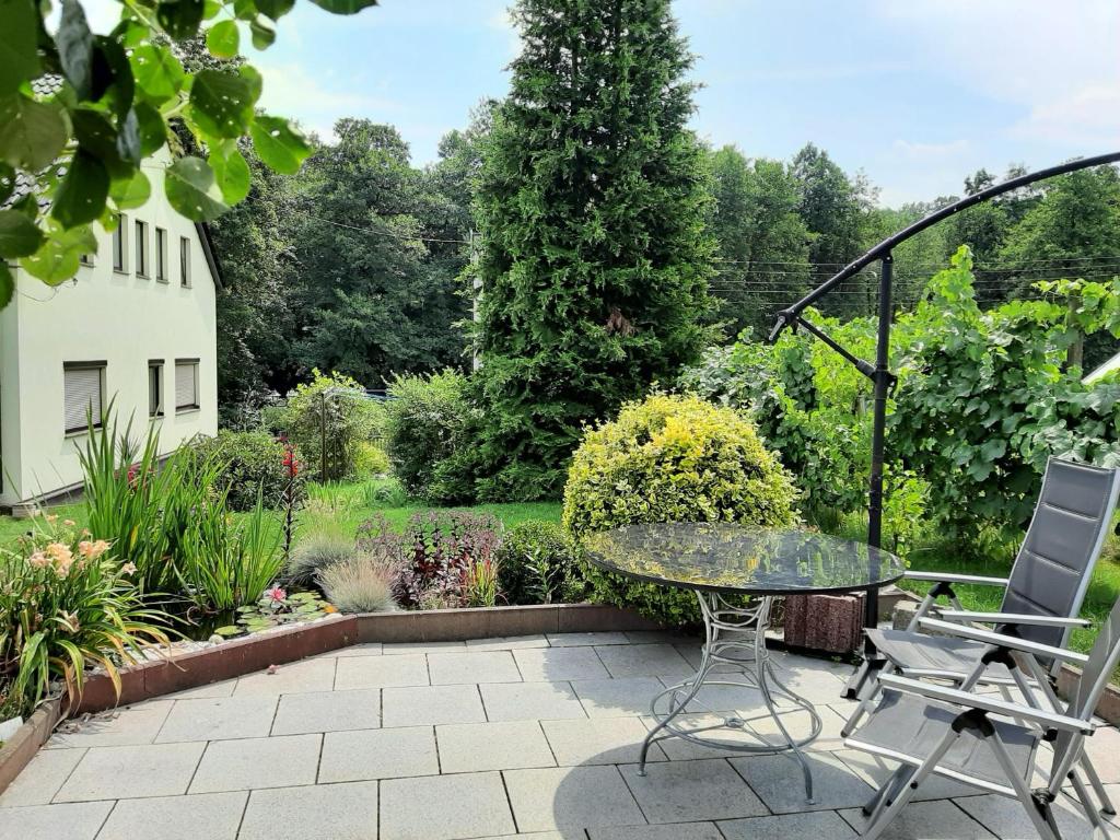 a patio with a glass table and chairs in a garden at Ferienwohnung im grünen Muldental in Langenbach