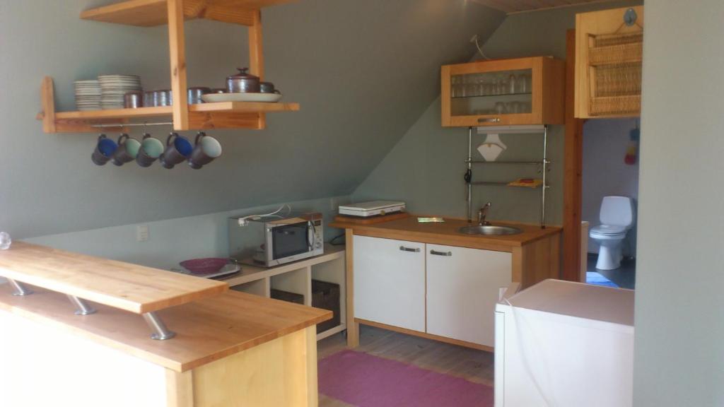 Kuchyň nebo kuchyňský kout v ubytování Hestbjerggaard Apartment