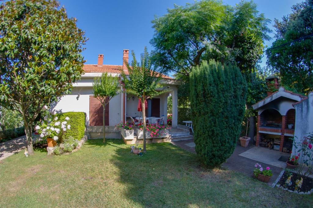 Apartment Magnolia - отзывы и видео