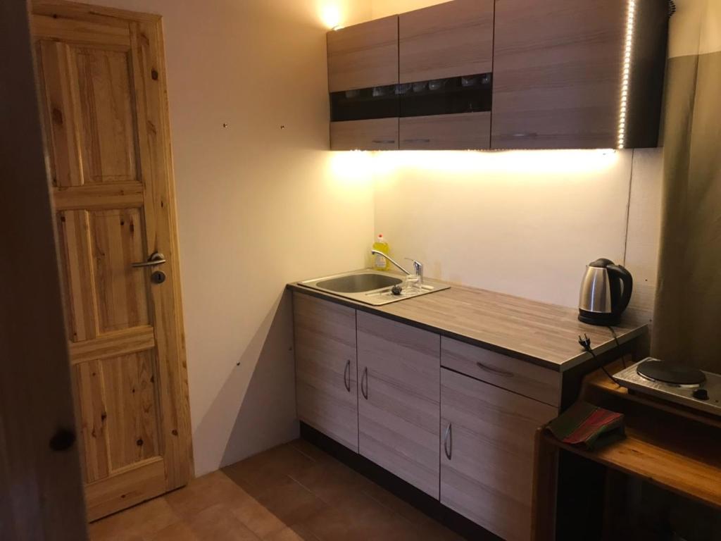 Kuchyň nebo kuchyňský kout v ubytování Apartmány Diana