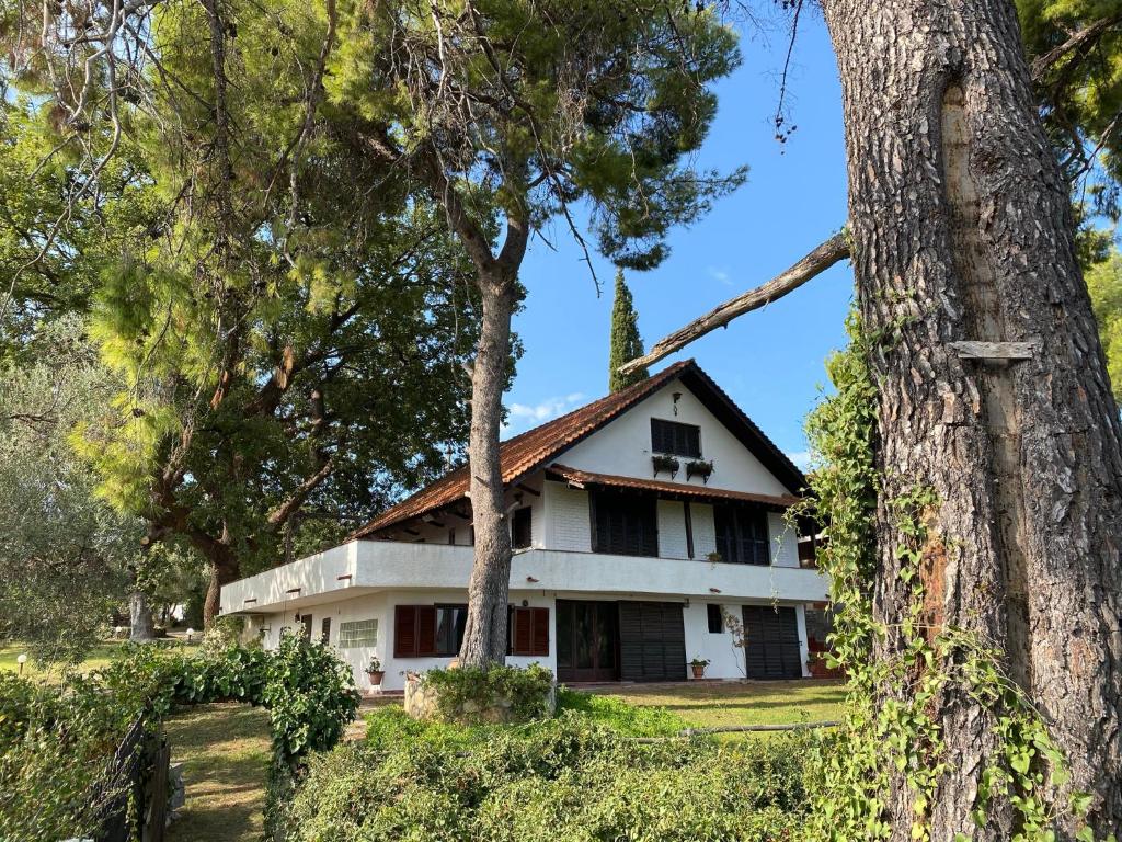 stary biały dom z drzewami na pierwszym planie w obiekcie Wild Oaks Cottage w mieście Kriopigi