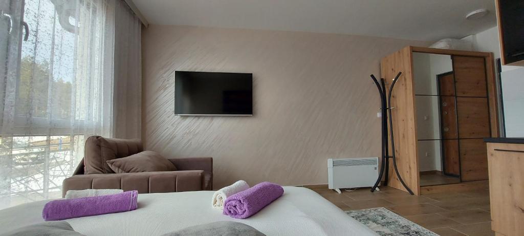 een slaapkamer met een bed en een tv aan de muur bij Sumski san 2 in Divčibare