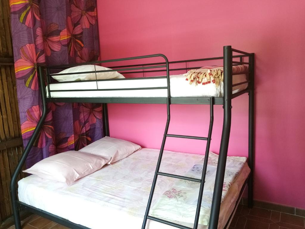 Ce lit se trouve dans un dortoir doté de 2 lits superposés et d'un mur rose. dans l'établissement la Cigalière, à Beauvoisin