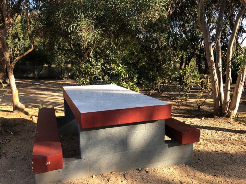 a bench in a park with trees in the background at Camping Villa Park Zambujeira do Mar in Zambujeira do Mar