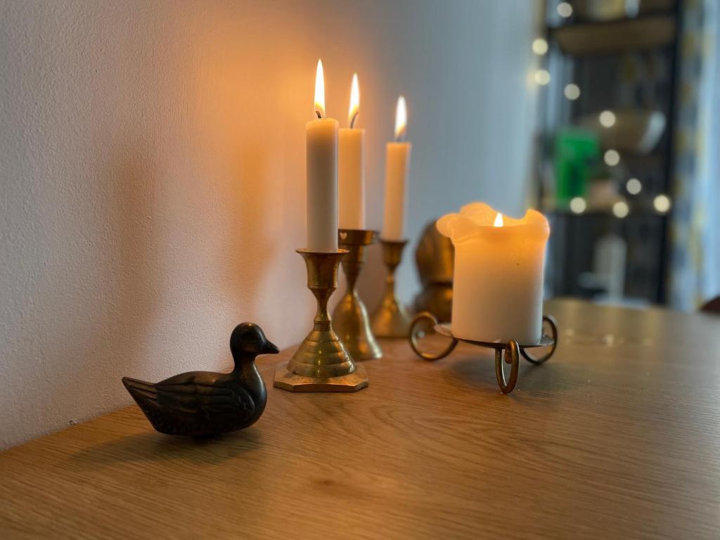a table with candles and a duck and a candle holder at Lovely 2-bedroom serviced apartment with SPA in Bansko